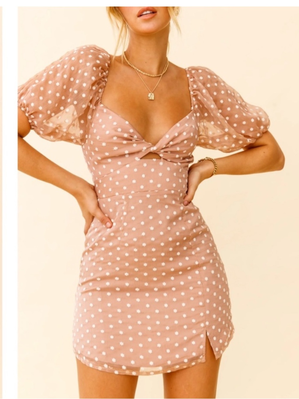 Selfie Leslie Molli Sheer Puff Sleeve Floral Dress Tan Pink Size M